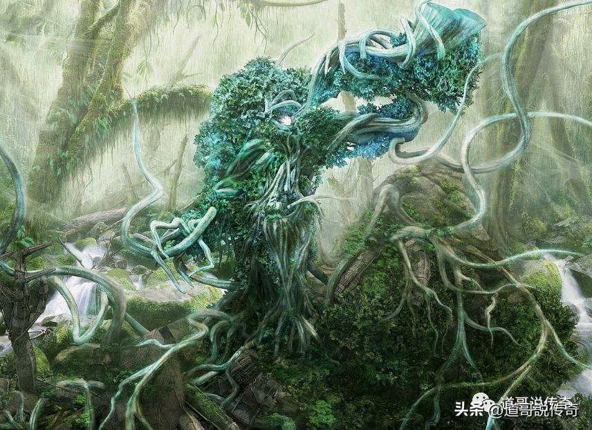 最新更新章節(jié)揭秘，神級(jí)龍衛(wèi)的傳奇之旅