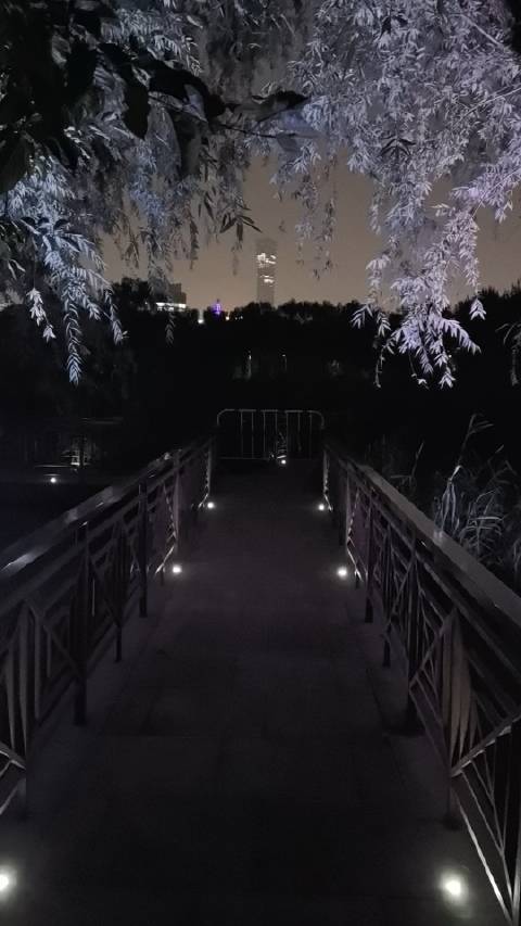 最新晚上視頻，探索夜色中的新世界