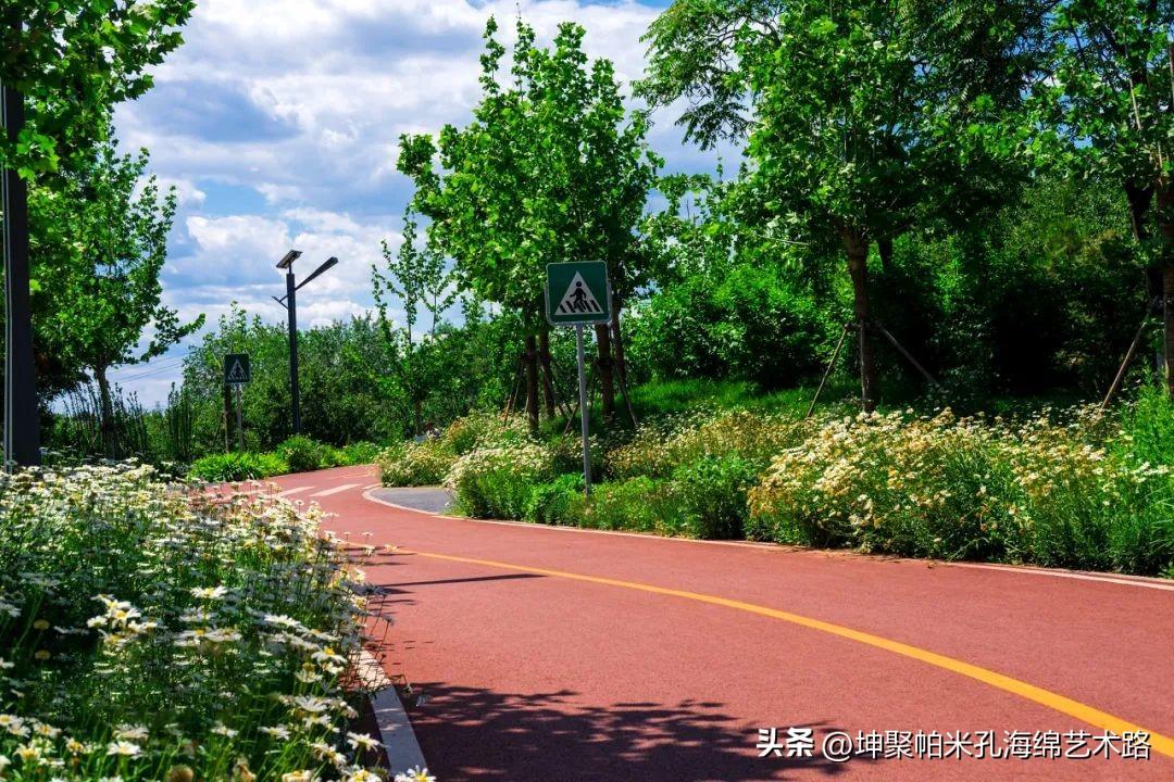 最新透水技術(shù)，推動城市建設(shè)的綠色革命