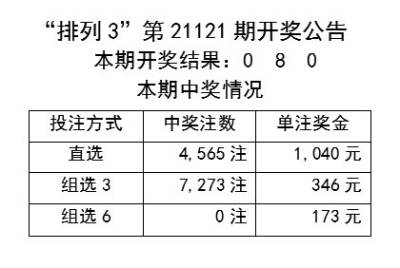 新澳2024今晚開獎資料四不像，探索彩票背后的神秘面紗