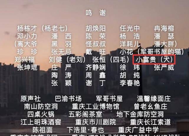 最準(zhǔn)一碼一肖揭秘，老錢莊的精準(zhǔn)預(yù)測(cè)背后的秘密