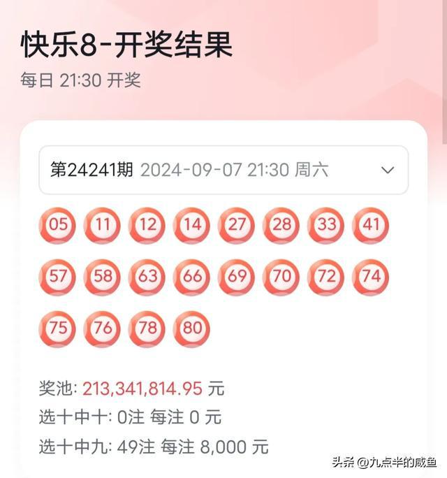 新澳2024今晚開獎結(jié)果，期待與驚喜交織的時刻