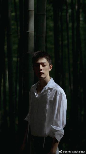 一肖一碼一一肖一子，探尋背后的神秘與魅力