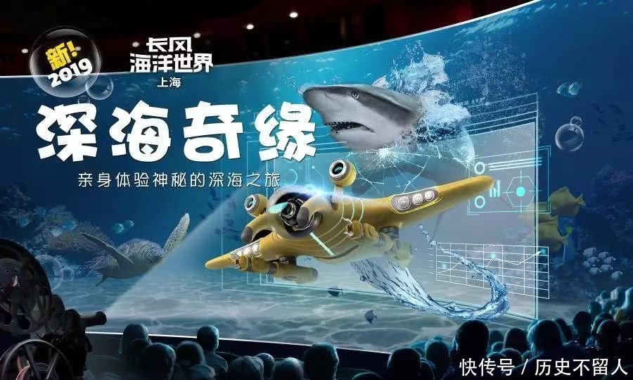探索新澳資料正版免費資料的海洋，開啟知識共享的全新篇章