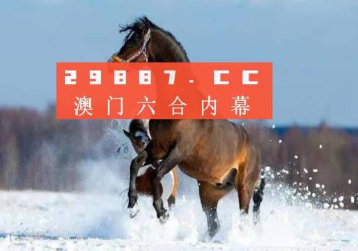 澳門一肖一碼一一特一中廠，探索與解讀