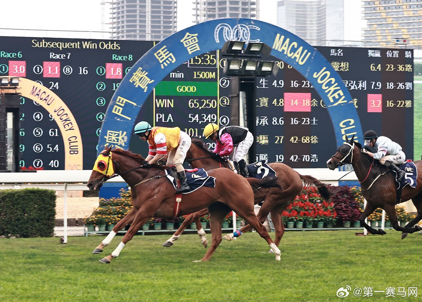 探索澳門特馬，今晚2024年澳門特馬開彩的奧秘與期待