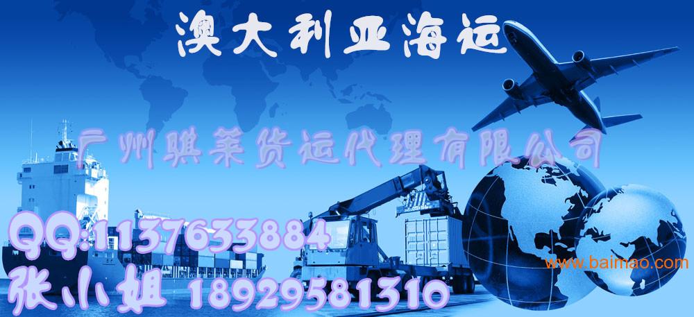 探索2024新澳天天免費資料，揭示隱藏的價值與機遇
