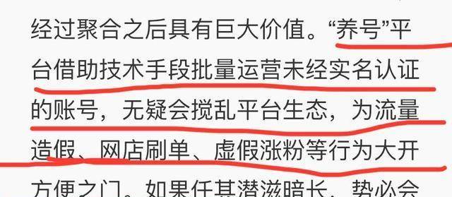 澳門三肖三碼精準(zhǔn)100%黃大仙，揭示背后的違法犯罪問題