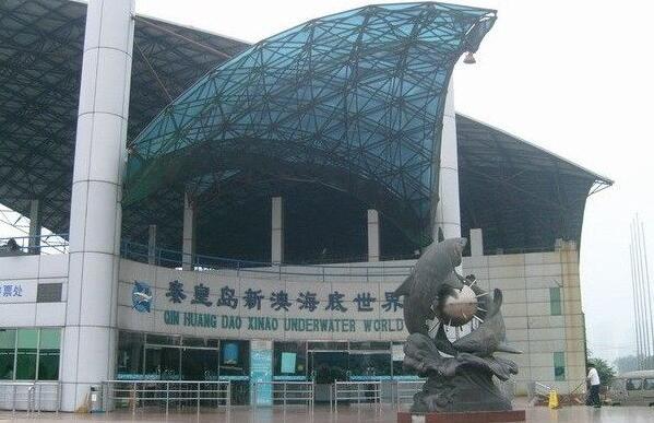 新澳精選資料免費提供，探索知識與信息的海洋
