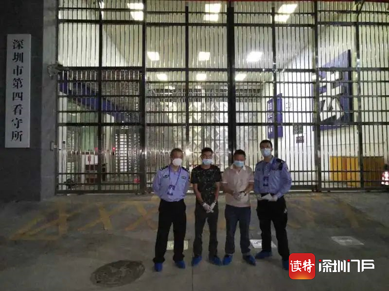 一肖一碼一一肖一子深圳，揭示背后的犯罪問題