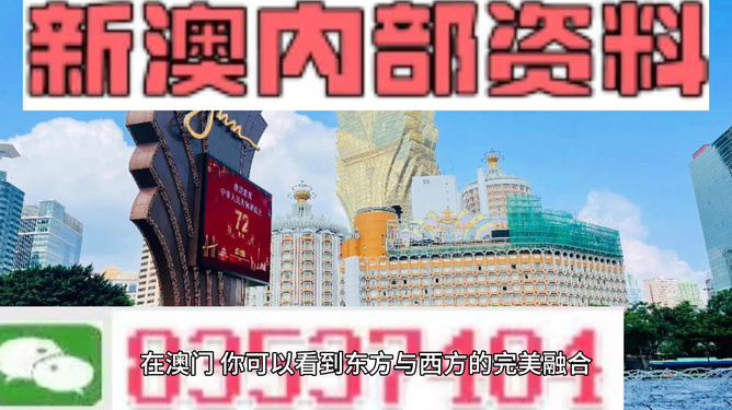 新澳資料正版免費資料，探索與啟示