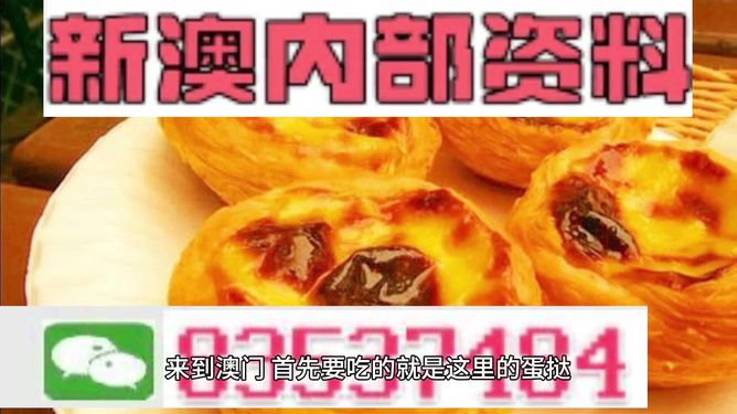 關于新澳2024年精準正版資料的探討——警惕違法犯罪問題