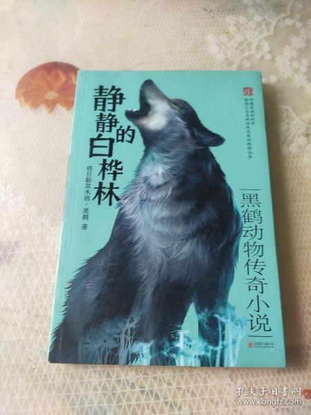 四不像正版與正版四不像，探究正版內(nèi)容的多元形態(tài)