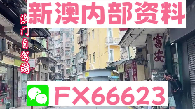 新澳精準資料免費提供，警惕背后的違法犯罪風險