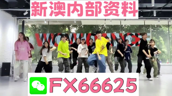 澳門管家婆與肖一碼，探索背后的故事