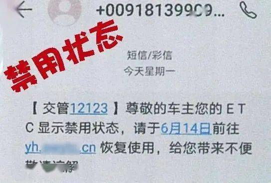 警惕虛假信息陷阱，新澳精準(zhǔn)資料免費(fèi)提供的背后風(fēng)險(xiǎn)（第510期）