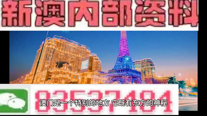 新澳門特免費資料大全與管家婆料，深度解析與探討