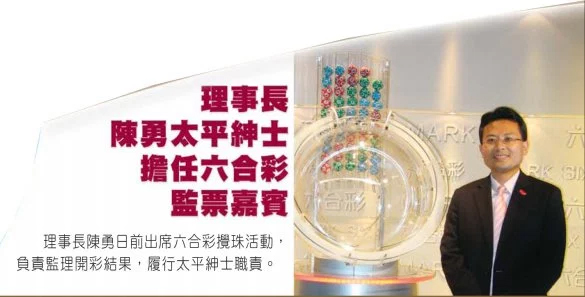揭秘2024年香港彩票開獎(jiǎng)記錄，歷史、數(shù)據(jù)與未來展望