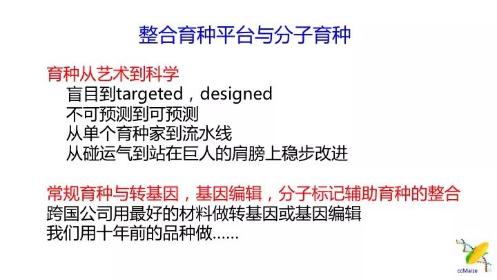 警惕網(wǎng)絡犯罪風險，新澳精準資料免費提供網(wǎng)背后的隱患與挑戰(zhàn)