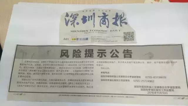 一肖一碼一一肖一子深圳，揭示背后的犯罪風(fēng)險(xiǎn)與警示