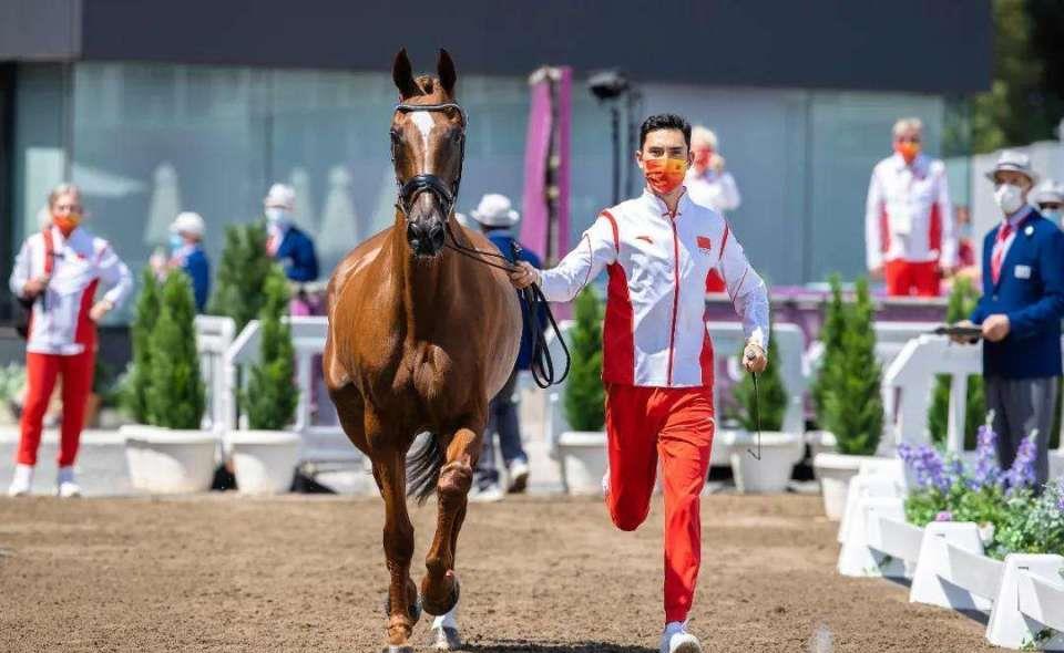 關(guān)于免費獲取馬匹資料的合法途徑與未來展望——以2024年馬匹資料免費網(wǎng)站為例