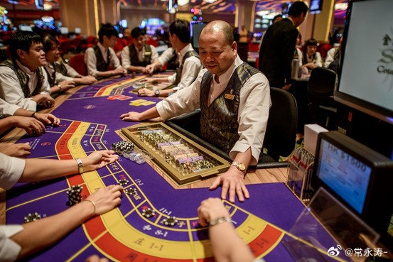 澳門管家婆一肖中特2019，揭露違法犯罪的真面目