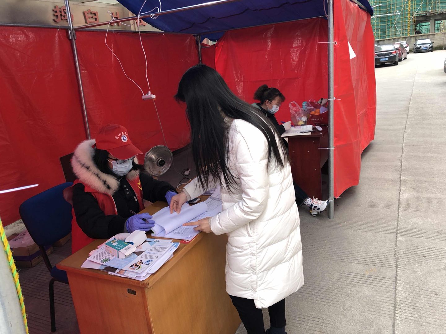 疫情最新動態(tài)下的狗狗角色轉(zhuǎn)變與應(yīng)對策略