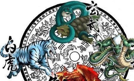 澳門白虎玄機(jī)精準(zhǔn)玄武——揭開犯罪背后的真相