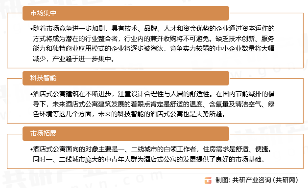 王中王資料大全，深度解析與全面概覽