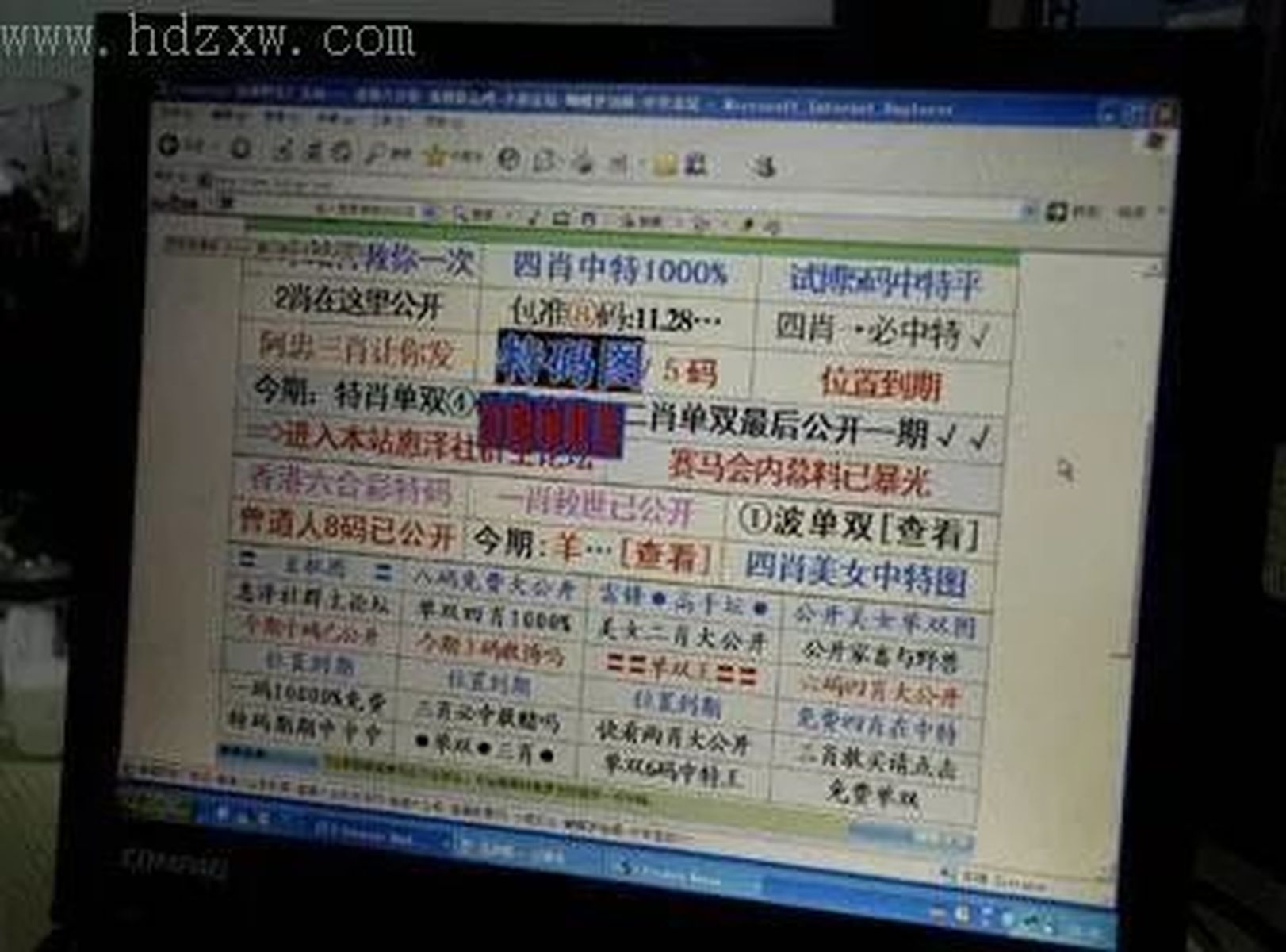 澳門王中王100%的資料一,澳門王中王100%的資料一，揭示違法犯罪的真面目