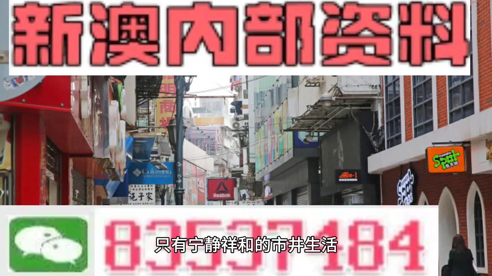 新奧門(mén)正版資料免費(fèi)長(zhǎng)期公開(kāi),新澳門(mén)正版資料免費(fèi)長(zhǎng)期公開(kāi)，探索與理解