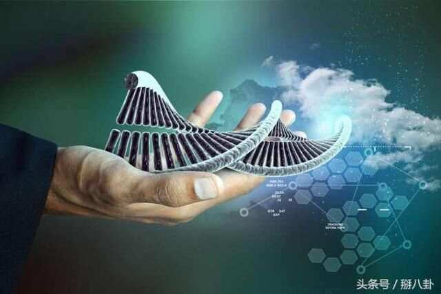 神話基因最新,神話基因最新研究，探尋人類起源與未來的神秘之旅