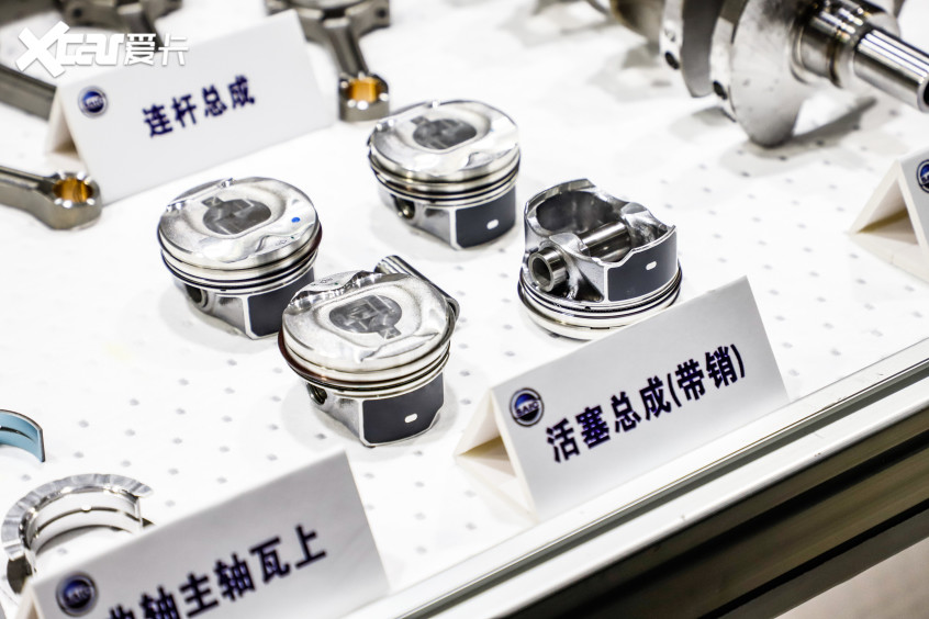 正版資料免費(fèi)資料大全十點(diǎn)|覺察釋義解釋落實(shí),正版資料與免費(fèi)資料大全的十點(diǎn)覺察，釋義、解釋與落實(shí)