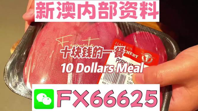 新澳精準資料免費提供|明晰釋義解釋落實,新澳精準資料免費提供，明晰釋義、解釋落實與違法犯罪問題