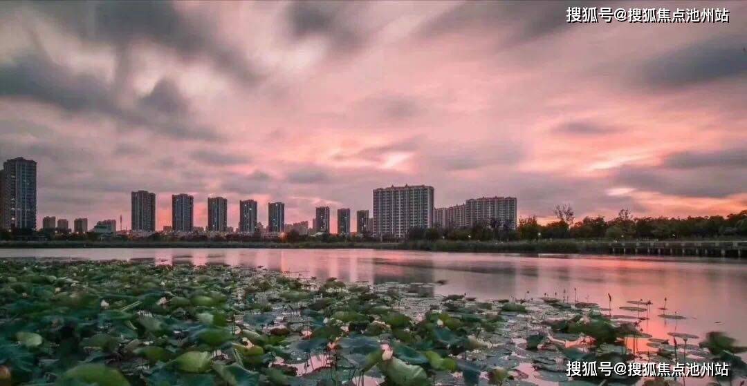 7777788888精準(zhǔn)管家婆|網(wǎng)絡(luò)釋義解釋落實(shí),精準(zhǔn)管家婆，網(wǎng)絡(luò)釋義解釋落實(shí)的重要性