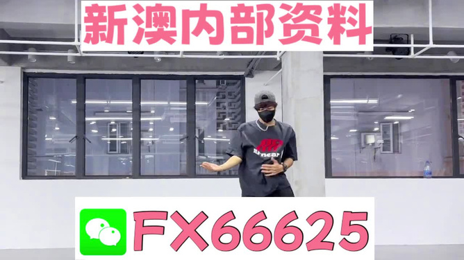 澳門管家婆-肖一碼|確保釋義解釋落實,澳門管家婆-肖一碼，確保釋義解釋落實