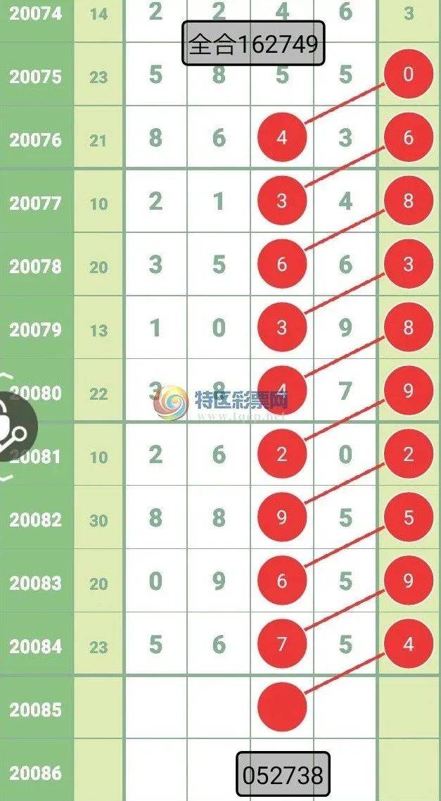 2024新澳三期必出三生肖|迅捷釋義解釋落實,新澳三期必出三生肖，釋義解釋與落實展望