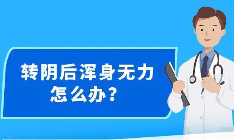 新澳精準(zhǔn)資料免費(fèi)提供，判斷釋義與落實的重要性