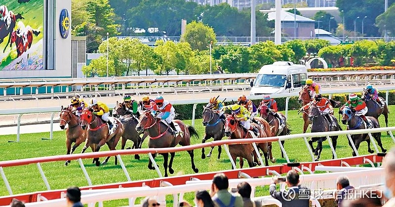 探索香港賽馬，2024全年免費資料與穩(wěn)妥解答解釋落實之路