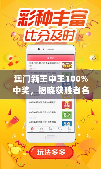 關(guān)于新澳門王中王免費學(xué)問解答解釋實施的探討——警惕潛在風(fēng)險與違法犯罪問題