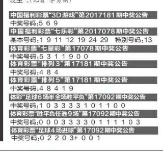 一碼一碼中獎(jiǎng)，免費(fèi)公開資料與主力版資料的深度解析