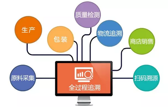 一碼一肖，高度協(xié)同方案落實(shí)與轉(zhuǎn)變的重要性——對犯罪預(yù)防與打擊的新視角