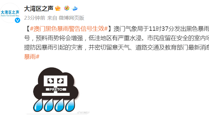 澳門新三碼必中一免費，新手版解答解釋與風險警示