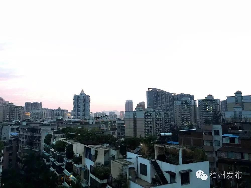 最準一肖，深度解析與明晰解答