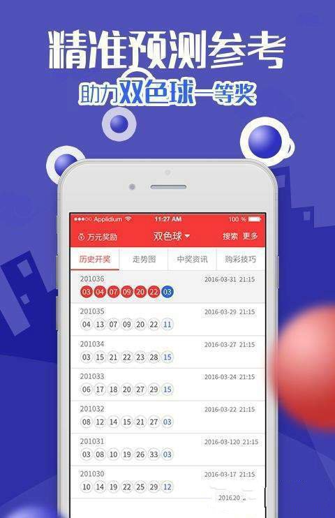 澳門王中王資料解析與知識(shí)解答，深入探索與落實(shí)