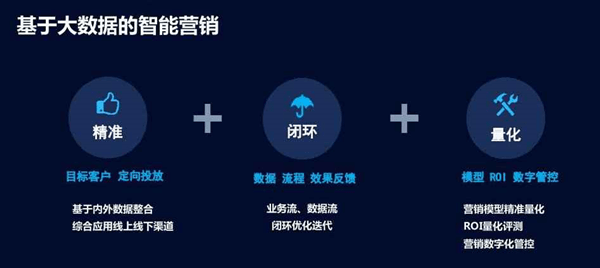 一肖一碼一一肖一子，深層設計策略數據專用版的重要性及其運用