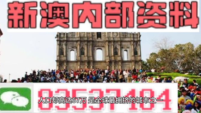 探索新澳精準(zhǔn)正版資料免費之路，跨部解答解釋落實的微縮版解析