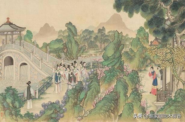 最新醉紅樓，探索紅樓夢(mèng)的新視角與新解讀