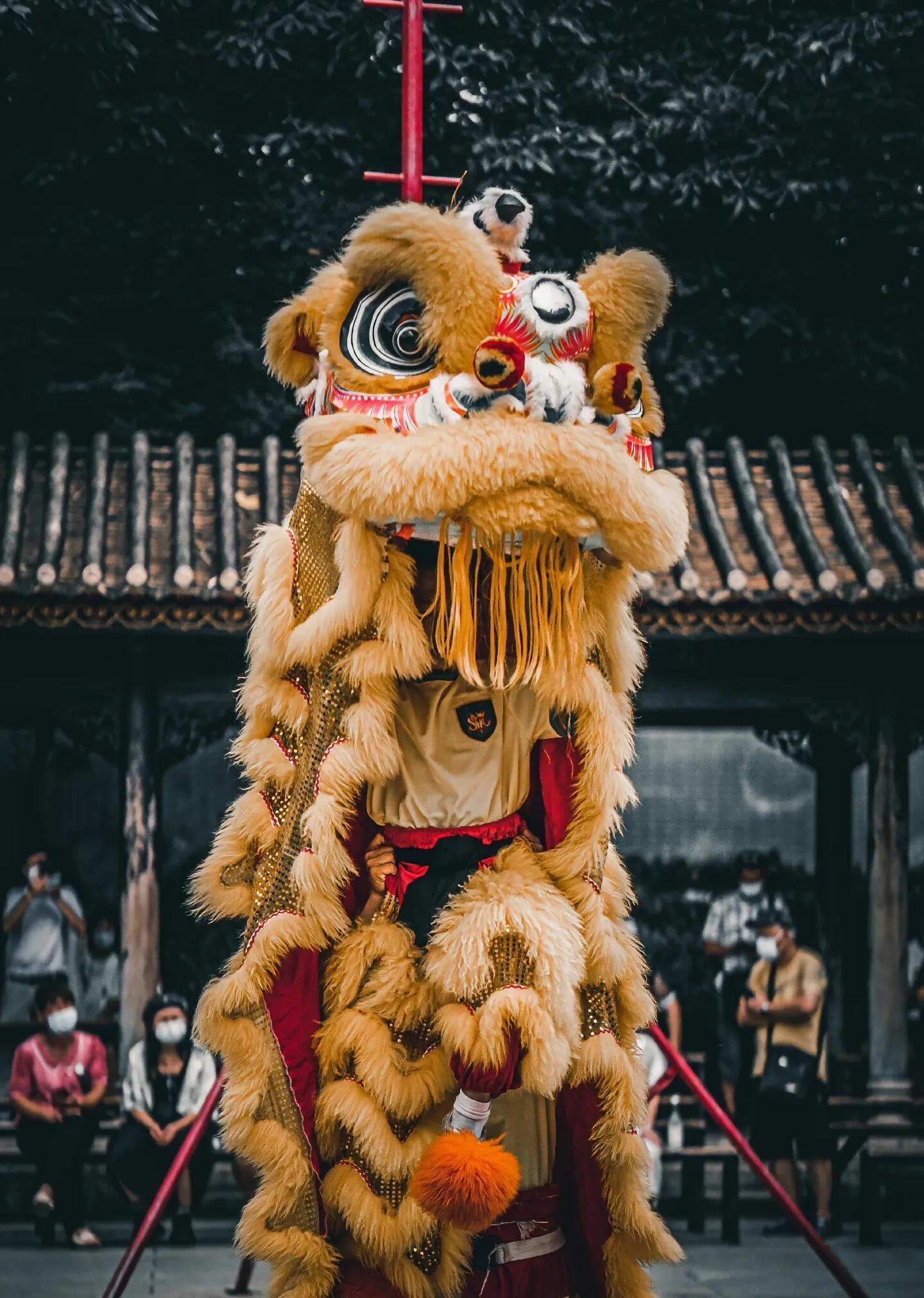 最新舞獅視頻，傳統(tǒng)藝術(shù)的活力再現(xiàn)