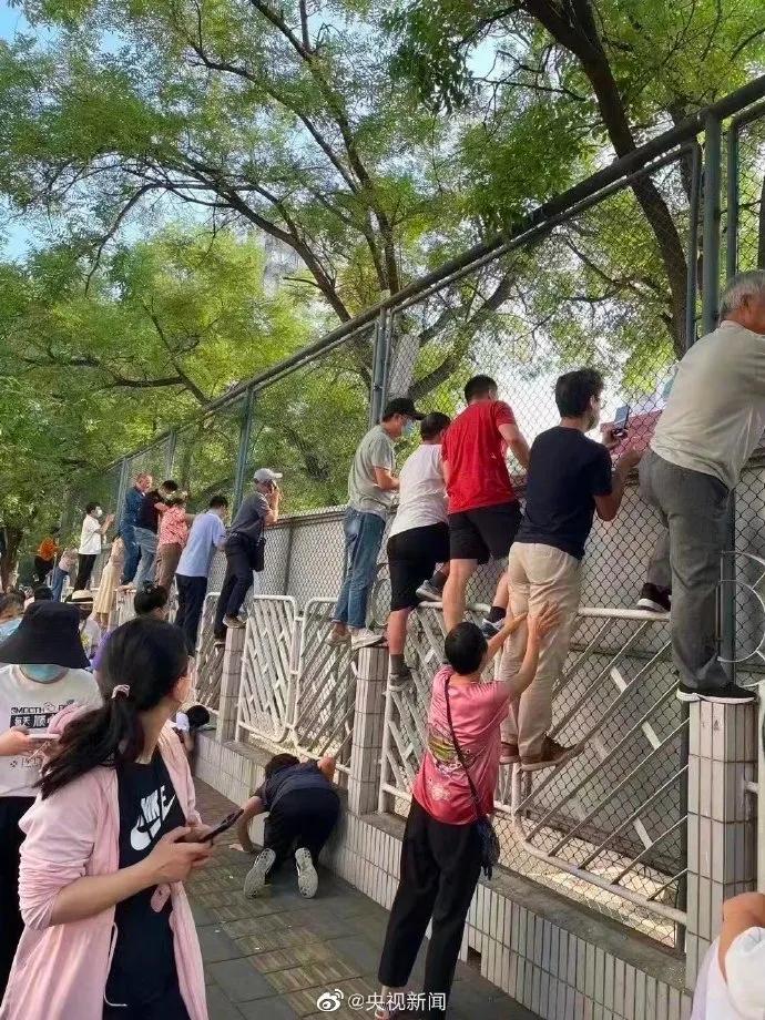 鳳影圣母 第5頁